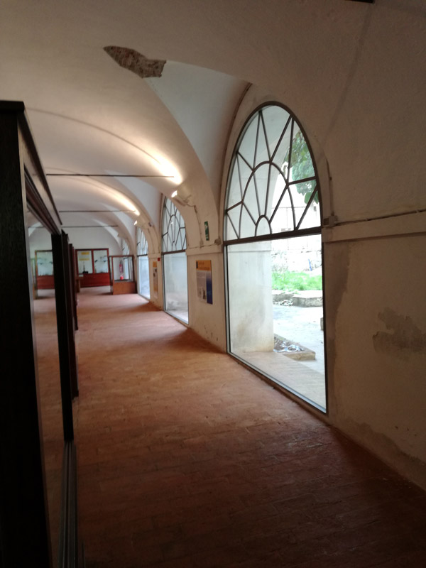 Museo di Storia Naturale Certosa Di Calci